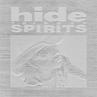 hide TRIBUTE ALBUM「hide TRIBUTE SPIRITS」